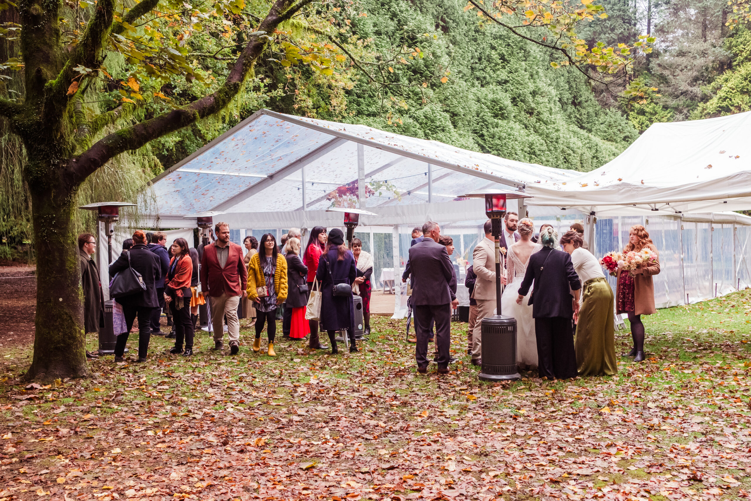 blueys-event-hire-weddings-abby-chris